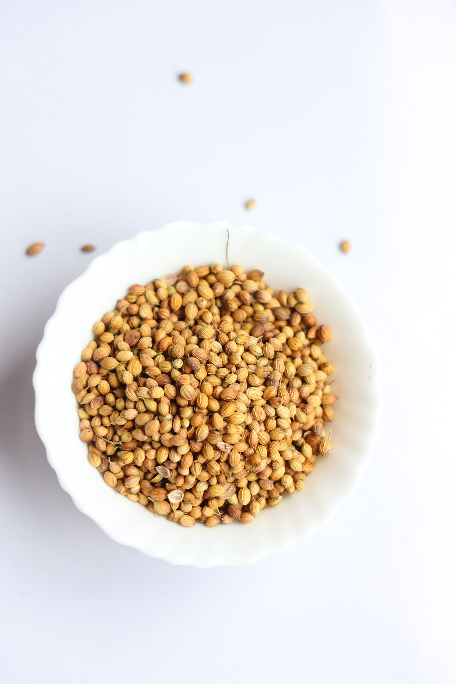 Coriander Seeds